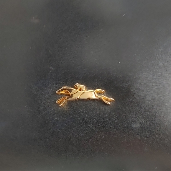 Longchamp - Picture 13 of 16